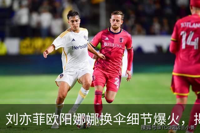 刘亦菲欧阳娜娜换伞细节爆火，揭穿娱乐圈最大误会