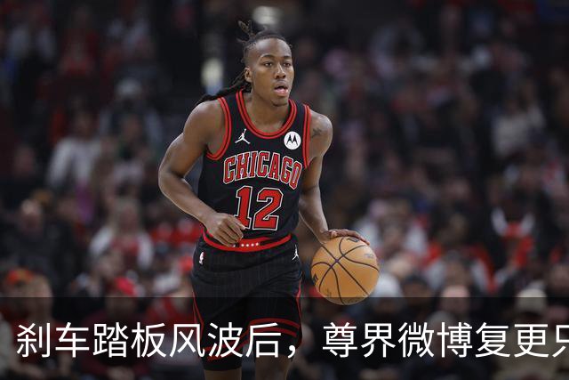 刹车踏板风波后，尊界微博复更只发了组图