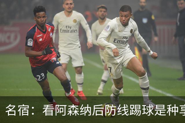 名宿：看阿森纳后防线踢球是种享受