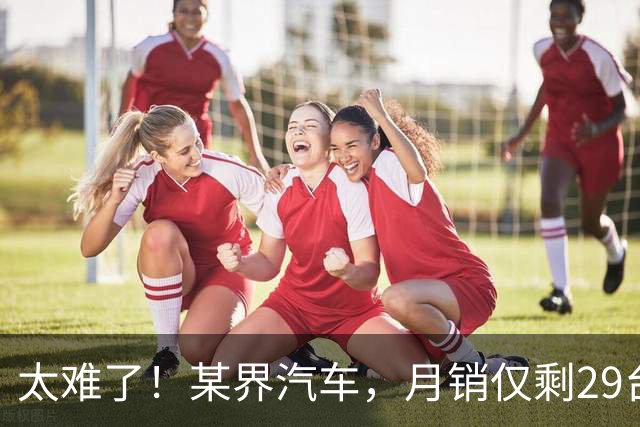 太难了！某界汽车，月销仅剩29台