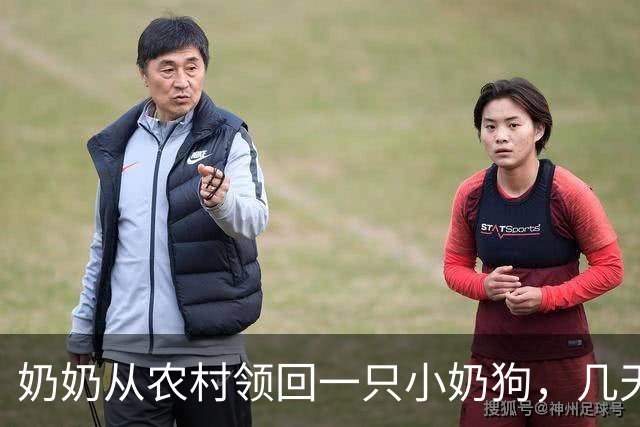 奶奶从农村领回一只小奶狗，几天后网友早起出门，看到门口这一幕，心都化了！