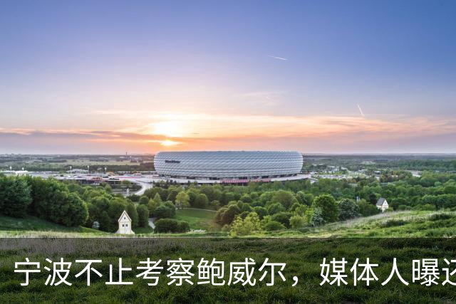 宁波不止考察鲍威尔，媒体人曝还在考察广厦旧将沃顿