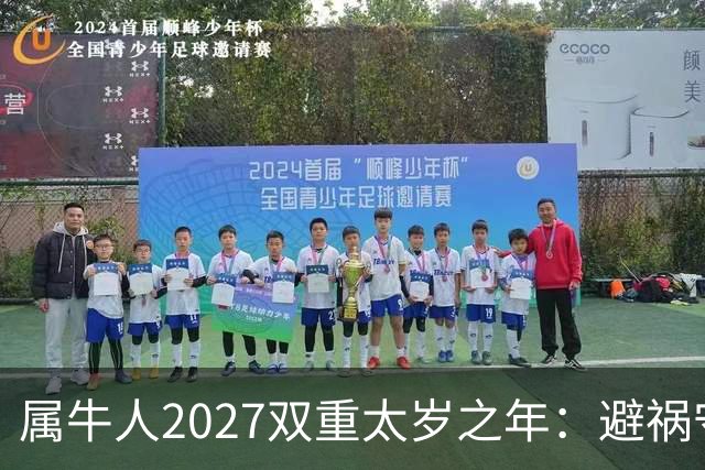 属牛人2027双重太岁之年：避祸守福，实用完整指南
