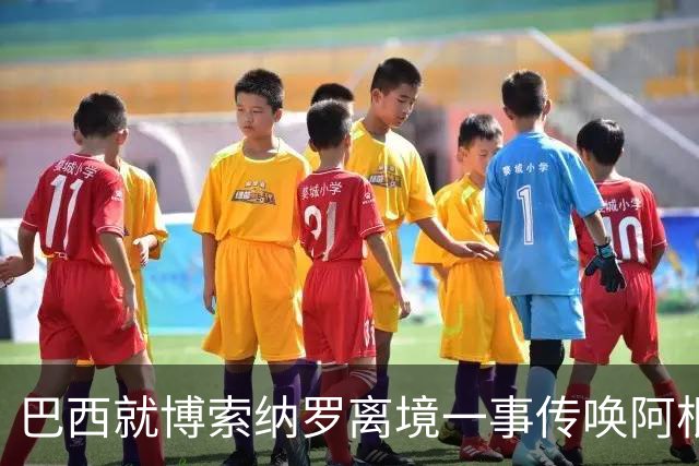 巴西就博索纳罗离境一事传唤阿根廷驻巴临时代办 阿外长回应