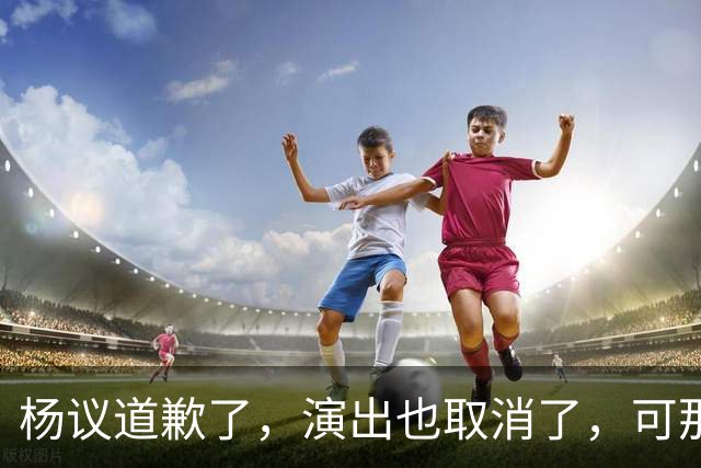 杨议道歉了，演出也取消了，可那句“误会”什么都没解决。