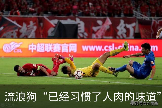 流浪狗“已经习惯了人肉的味道”