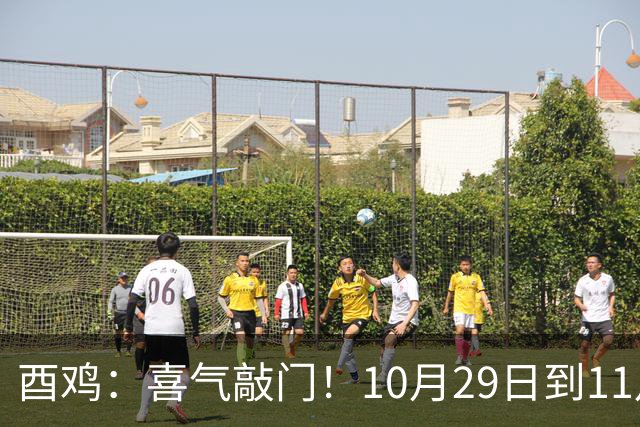 酉鸡：喜气敲门！10月29日到11月11日，三桩转机悄悄靠近你！